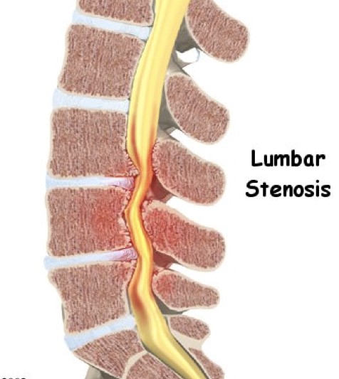 Pituitary Gland Illustration