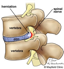 Pituitary Gland Illustration