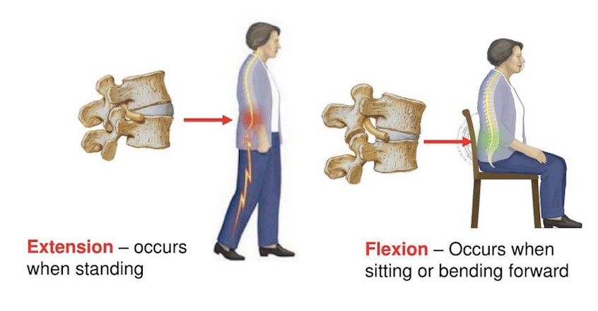 Pituitary Gland Illustration